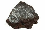 Polished Stony-Iron Mesosiderite Meteorite ( grams) - Chile #242902-1
